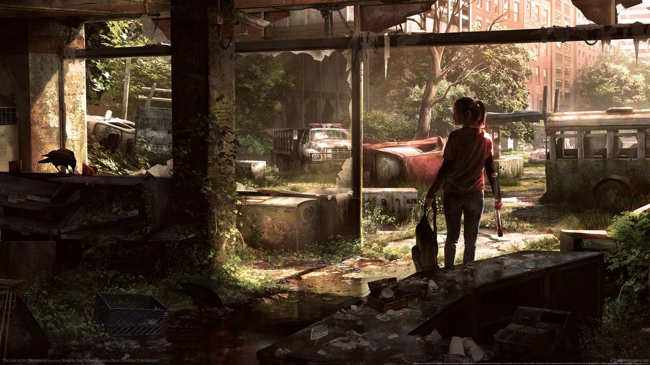 《美国末日 重制版 The Last of Us Remastered》4K游戏高清壁纸