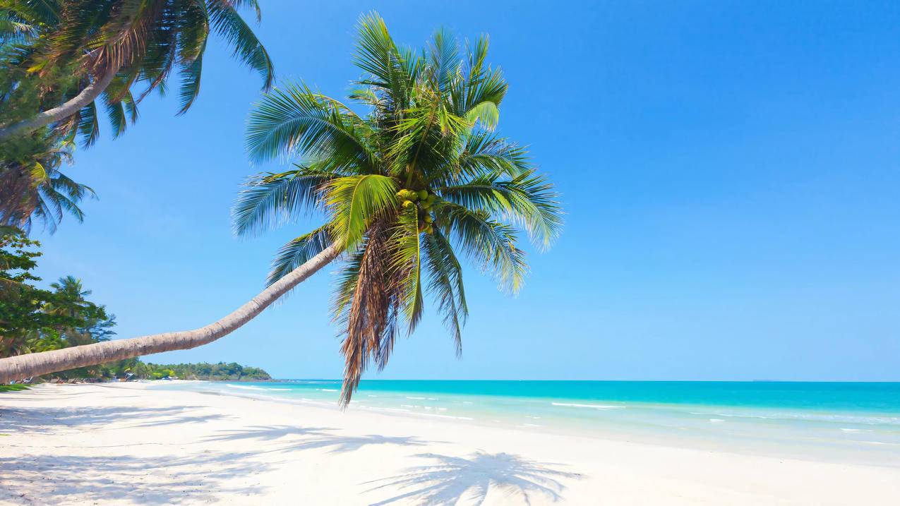 热带 海边 沙滩 蓝色大海 4k风景壁纸 3840x2160