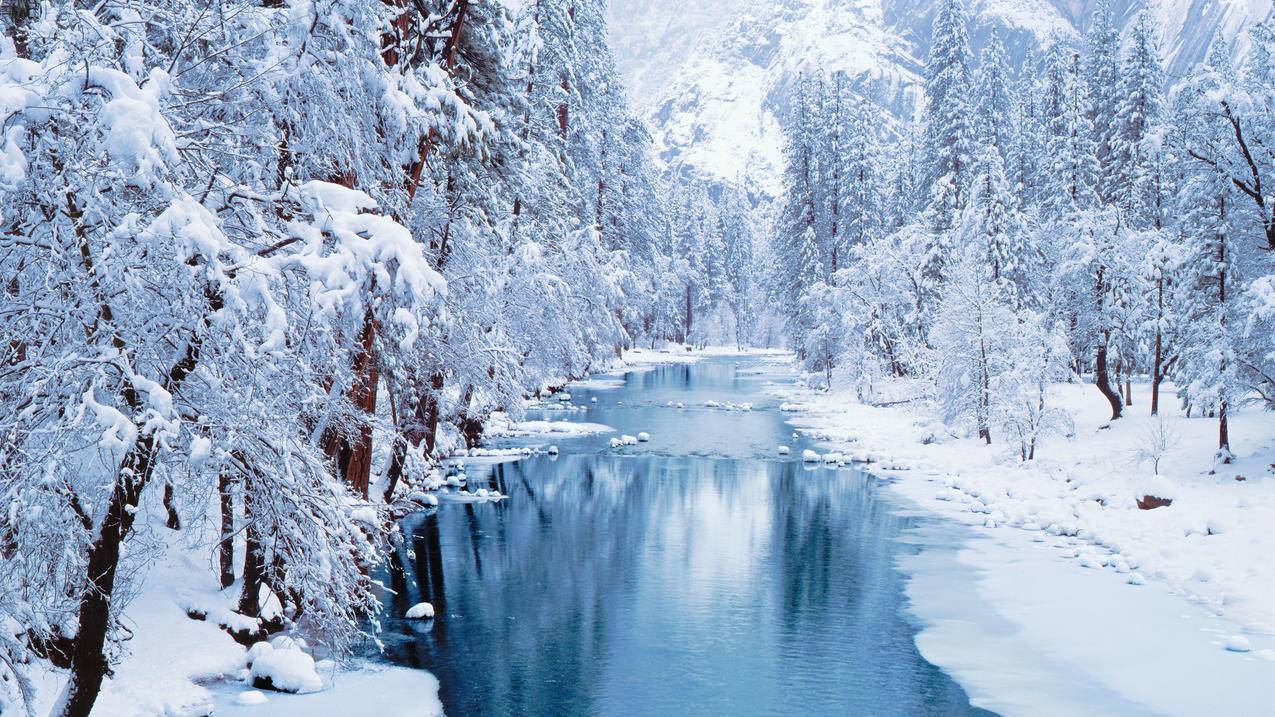 冬季 河流 森林 雪景 厚厚大雪风景4k壁纸