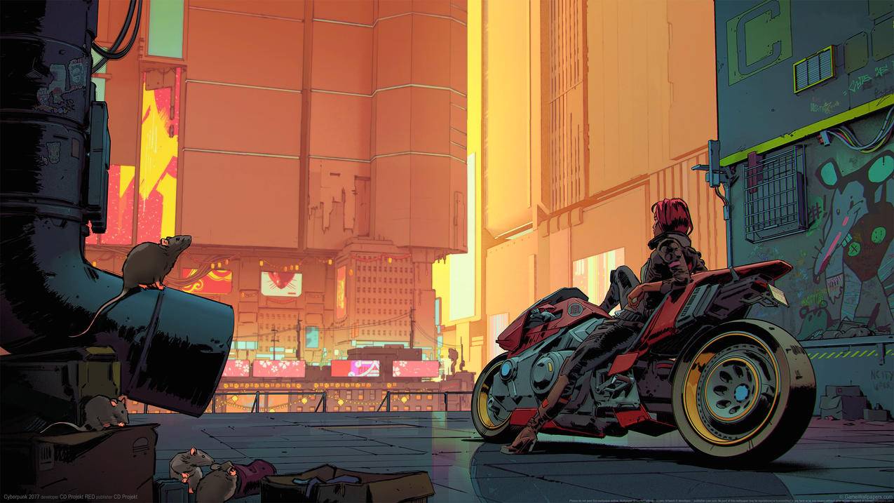 《赛博朋克2077 Cyberpunk 2077》4k高清游戏壁纸
