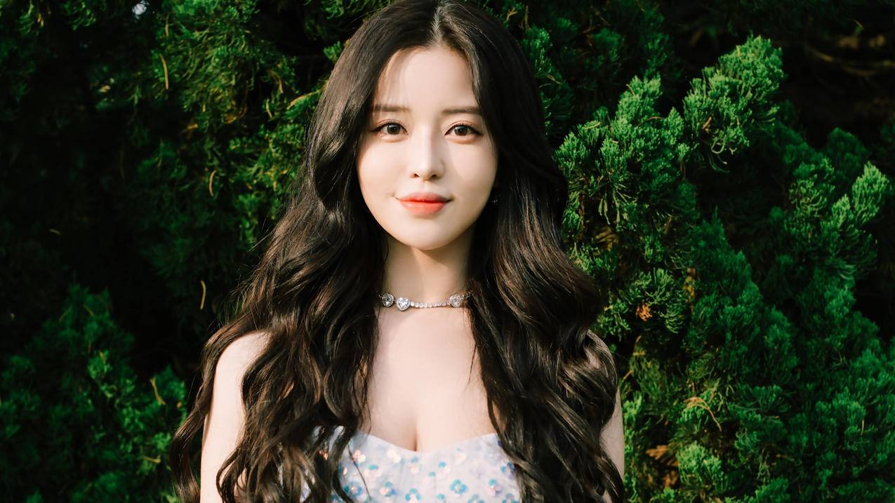 �匦�Swan 小清新 端庄 绿色 甜美 4k电脑壁纸 4k手机壁纸