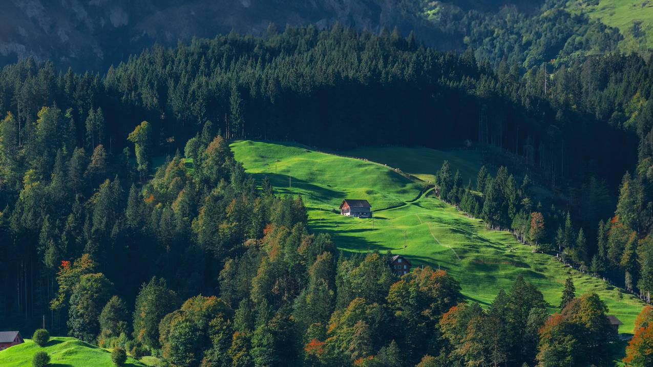 山坡 绿色 木屋 4k风景