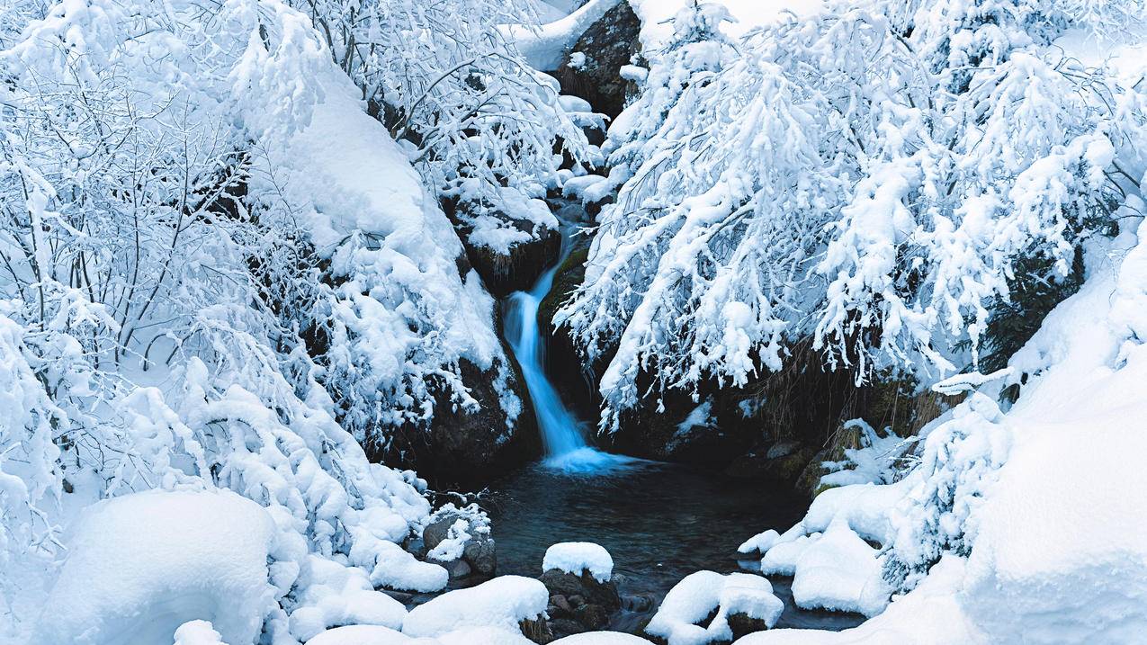 小溪树枝厚厚的雪景4k风景壁纸