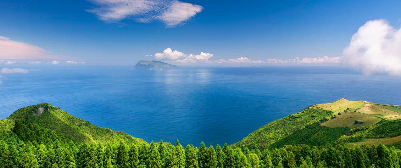 海景 岛屿 海岸 树林 3440x1440带鱼屏壁纸